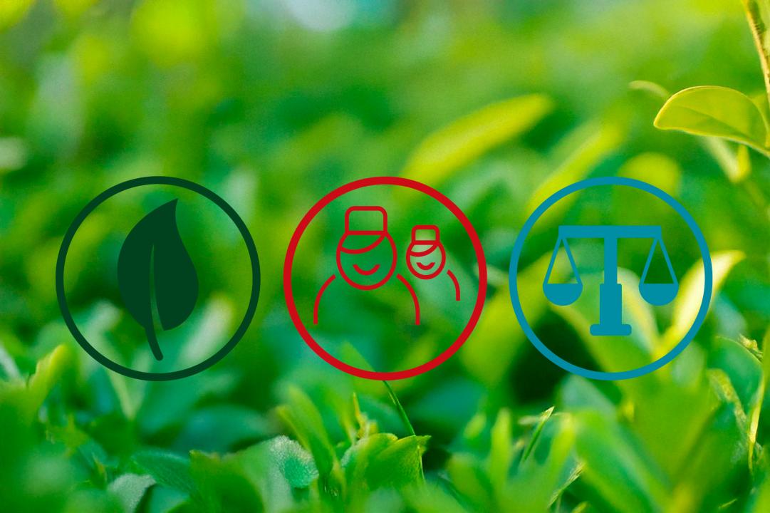 Bæredygtighed Bæredygtighed