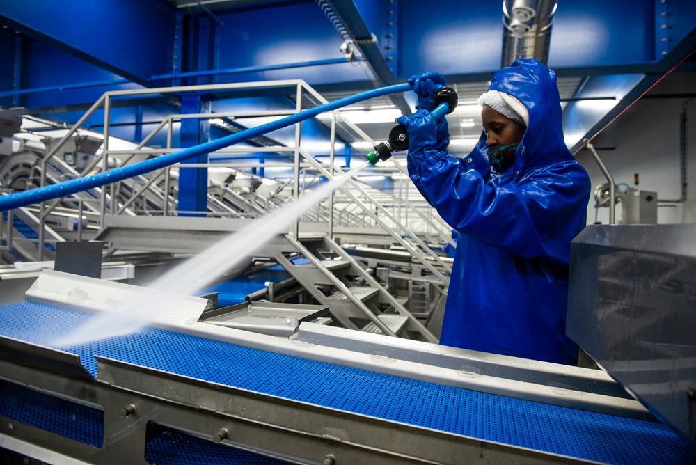 Manuel rengøring Manuel rengøring